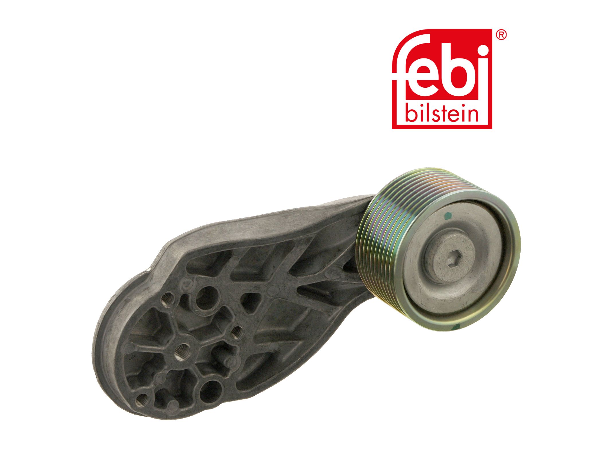Tensioner Febi 21153968
