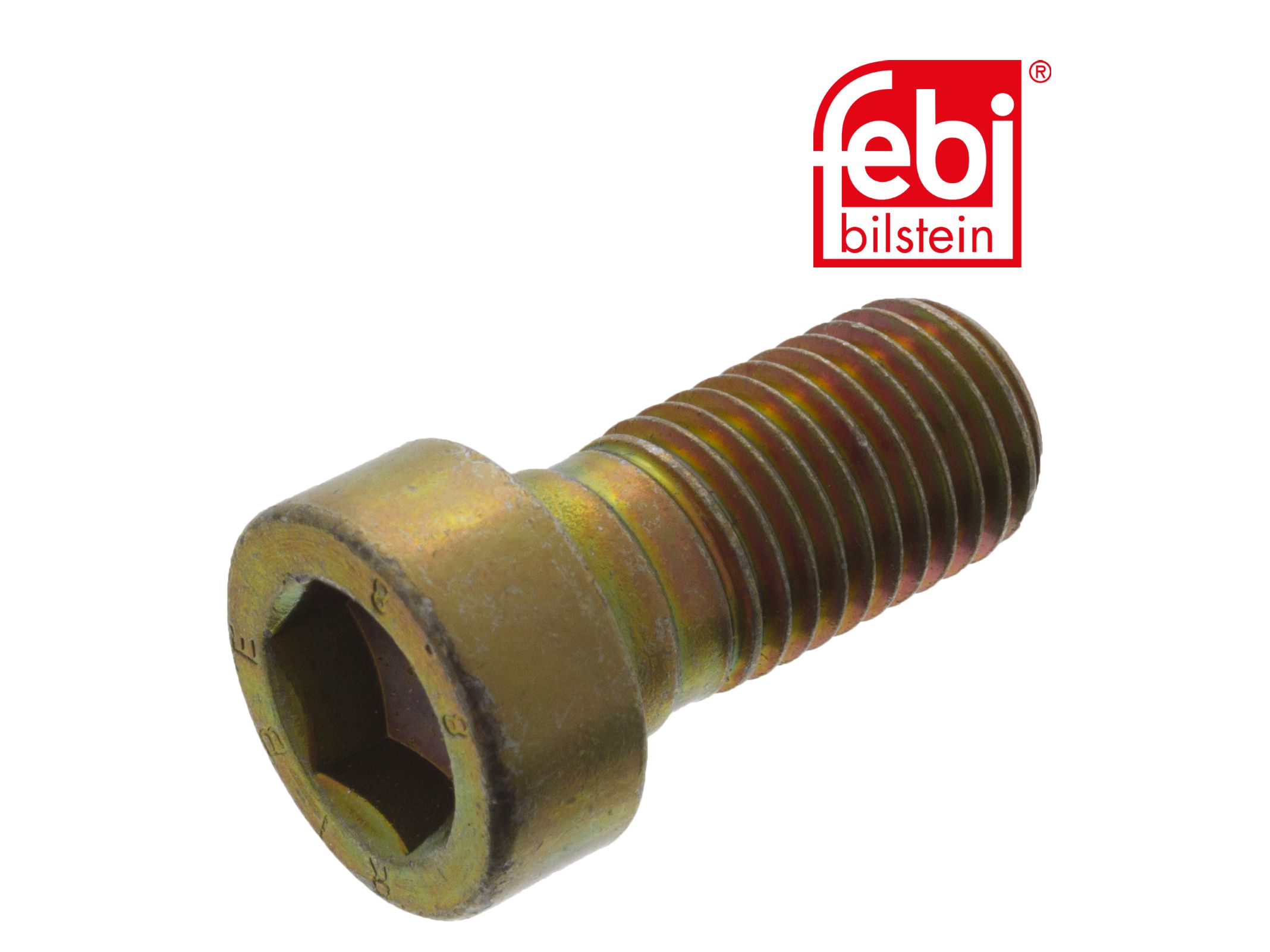 Hex socket screw Febi 06021002555
