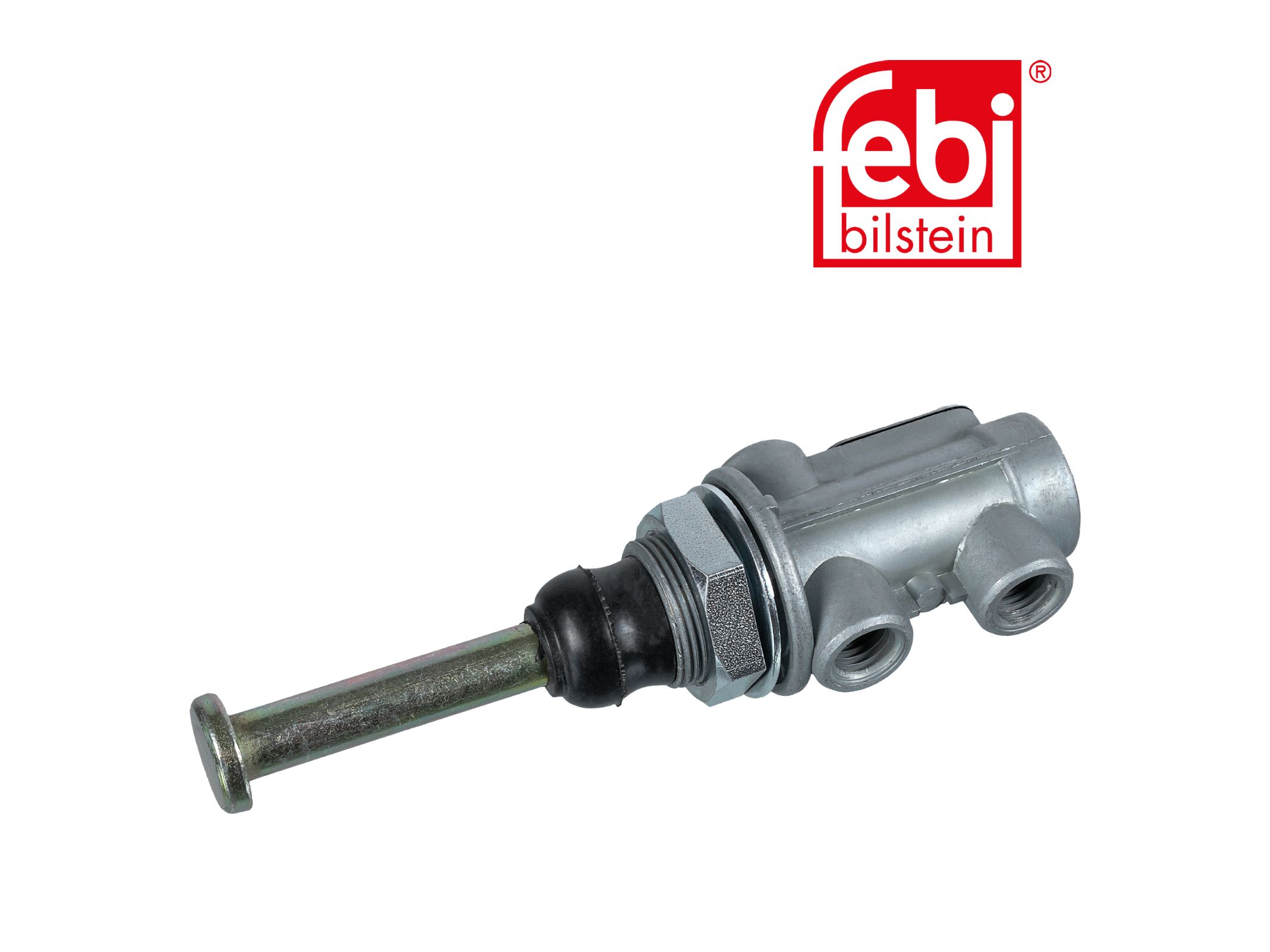 Engine valve Febi 81521316001