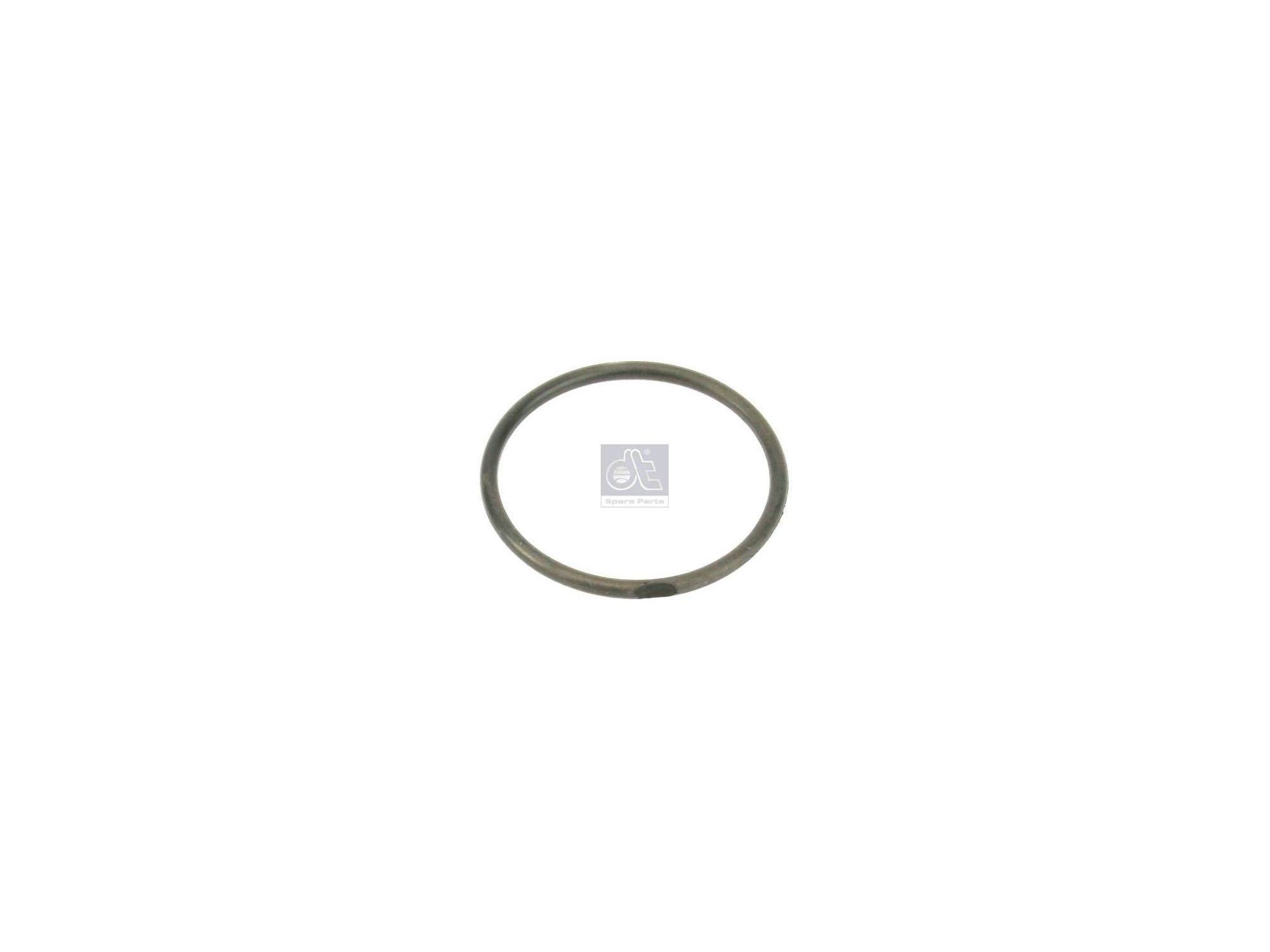 O-Ring DT Spare Parts 810974