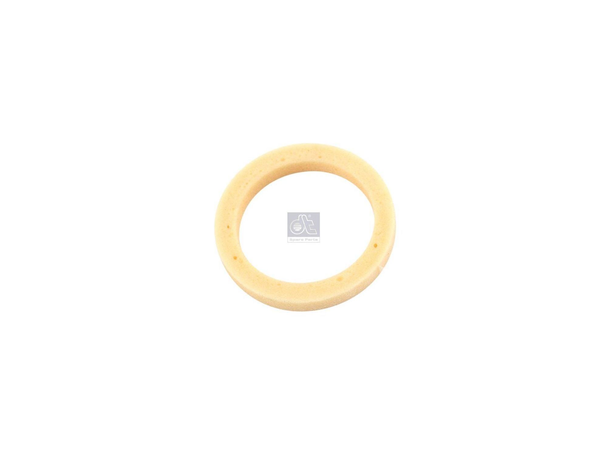 Seal ring DT Spare Parts 81966010393