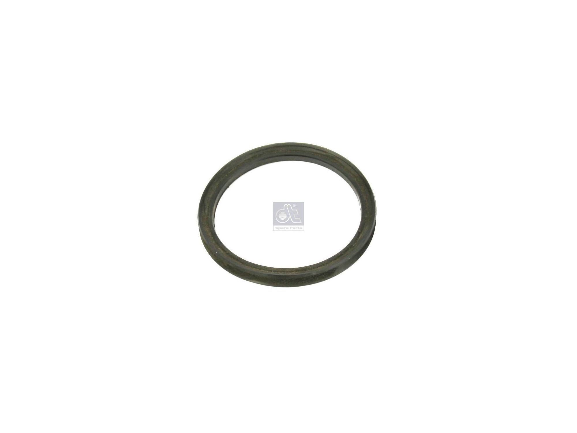 Seal ring DT Spare Parts 0029973040