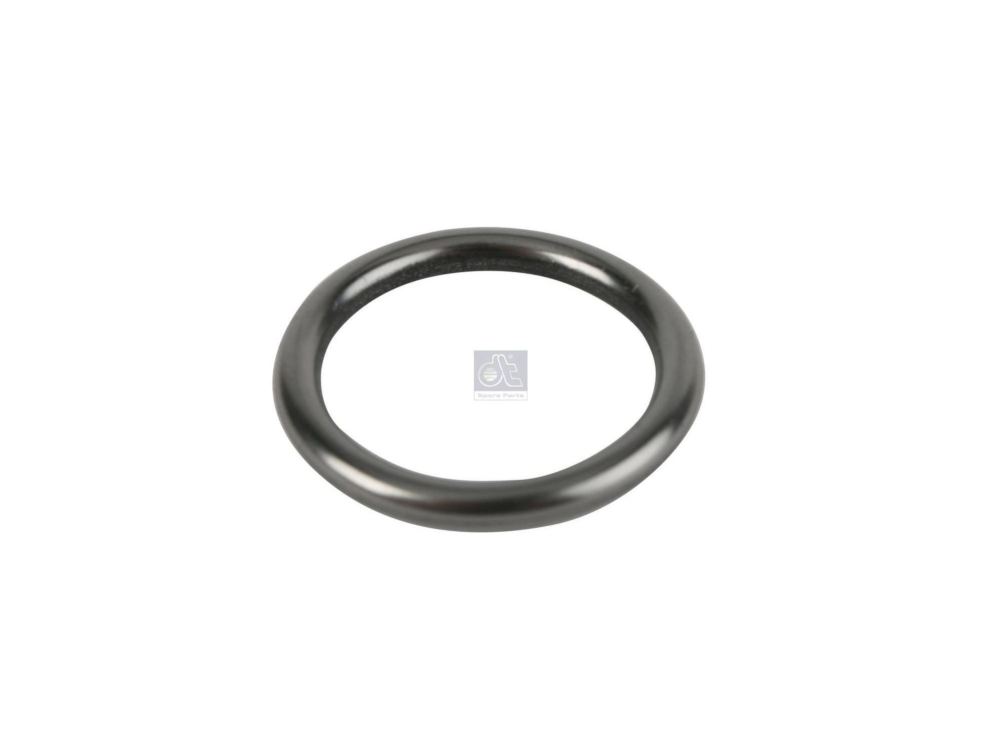 Inel O DT Spare Parts 0179973345