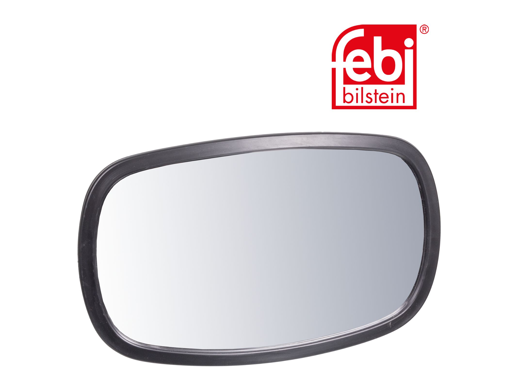 Espelho Lateral Extra Febi 296171