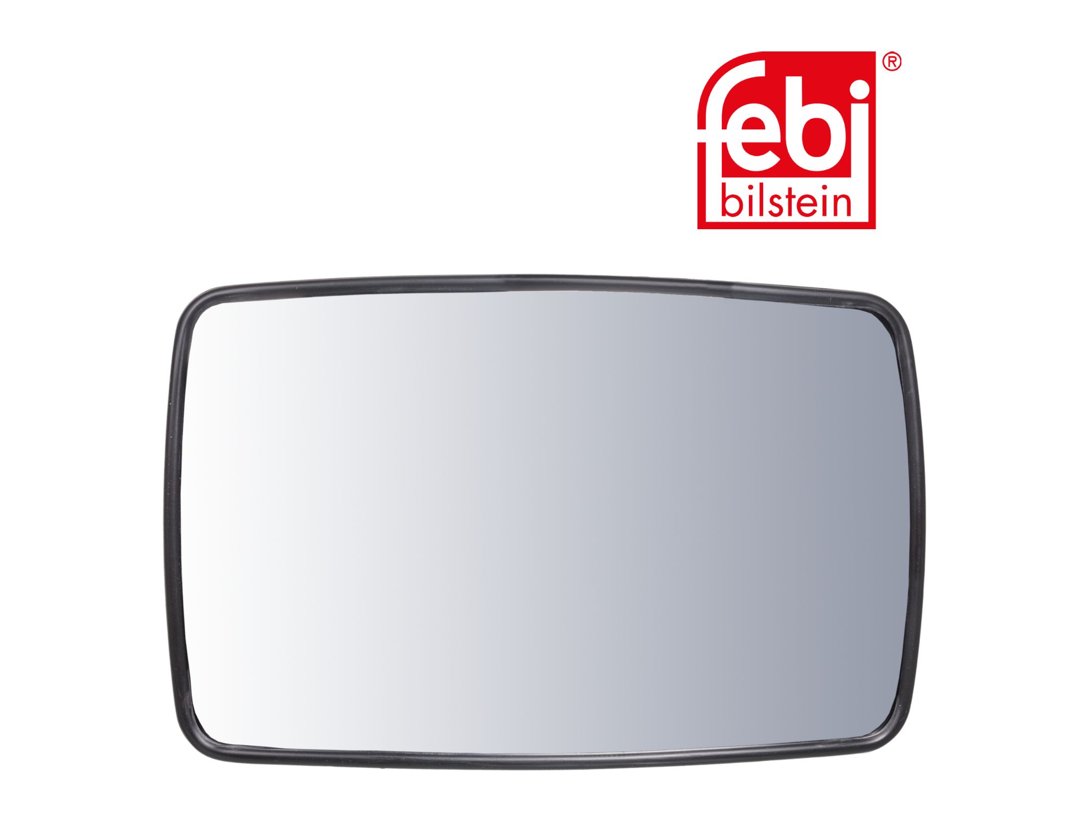 Espelho Lateral Extra Febi 81637306659