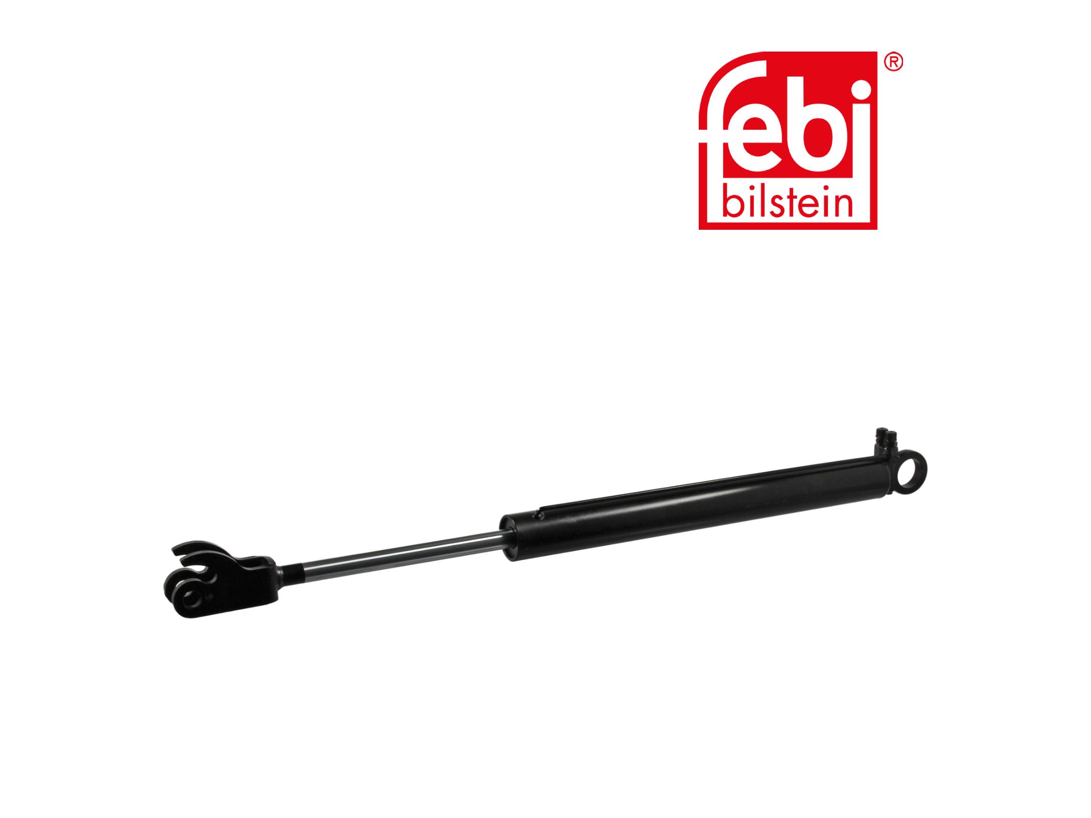 Kantelcilinder Febi 0025531805
