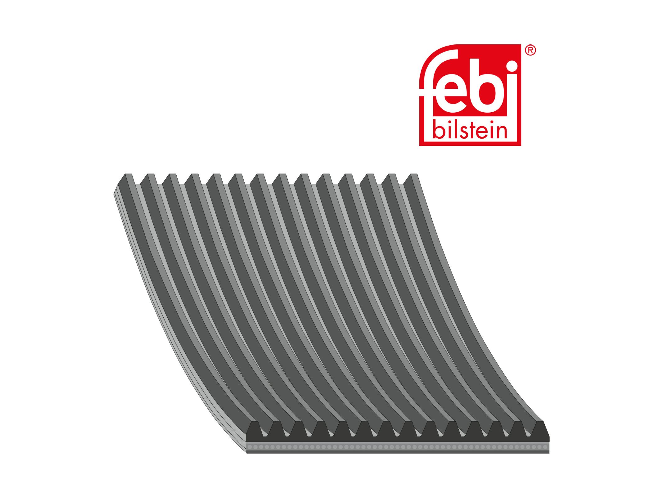 Multi V-belt Febi 51968200246
