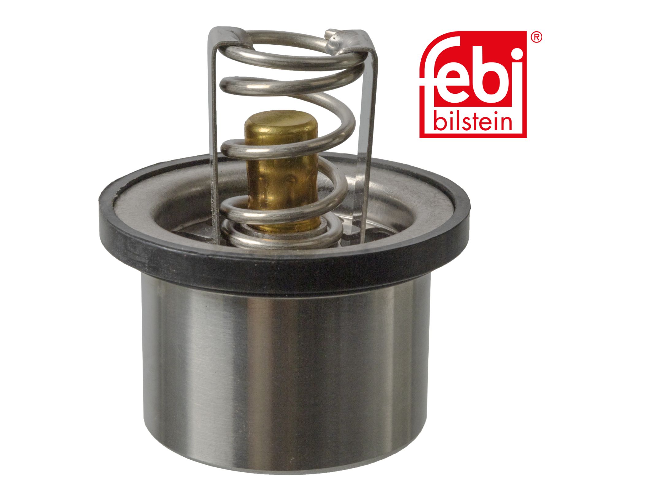 Termostat Febi 51064010045