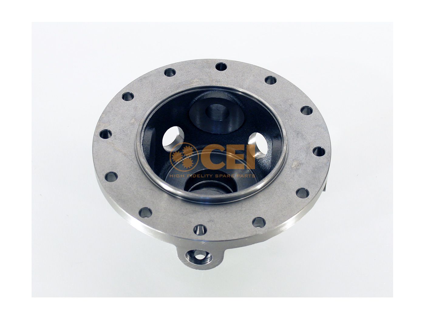 Differential housing CEI 81351100033