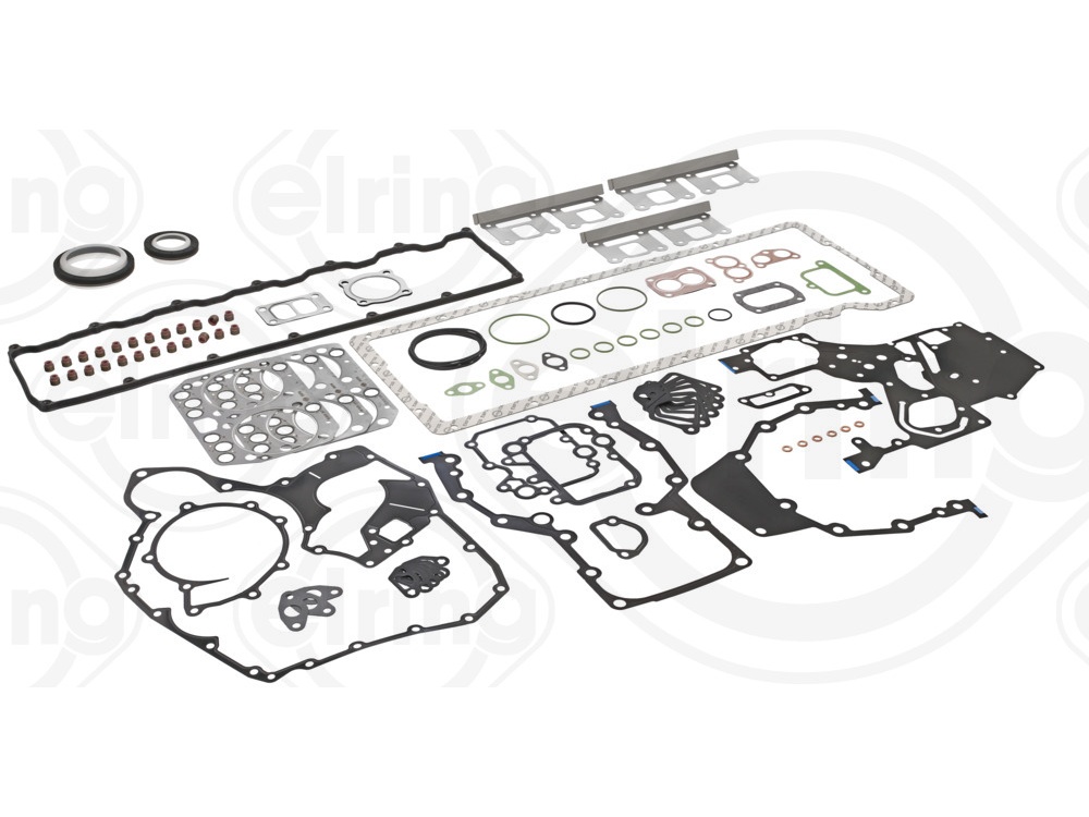 Juego de revisión general Elring 51009006754