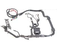 Harnais DAF 2186229