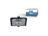 Nebelscheinwerfer DT Spare Parts 1062190
