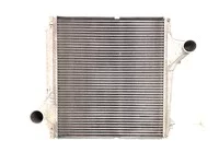 Intercooler Renault 7421649613