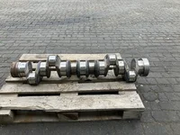 Wał korbowy DAF 1684102 Wał korbowy DAF 1684102