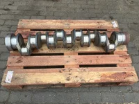 Arbore cotit DAF 1684102