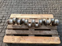 Arbore cotit DAF 1425366