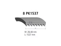 Correa en V DT Spare Parts 20430611