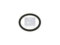O-Ring DT Spare Parts 7420536487