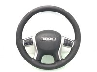 Directie DAF 2020866
