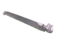 Hydraulikzylinder Volvo 20922303