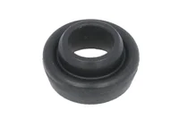 Dichtring DAF 2134387