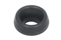 Dichtring DAF 2134387