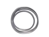 Dichtprofil Volvo 3175030