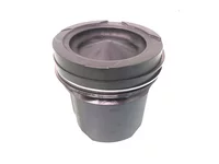 Kit de pistons DAF 2132582
