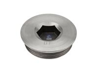 Screw plug DT Spare Parts 467714