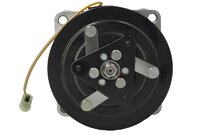 Air conditioning pump Sanden 5010483099