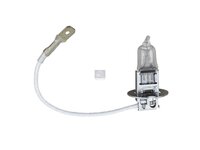 Bulb DT Spare Parts 400809000006