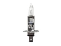Bulb DT Spare Parts 81259010019