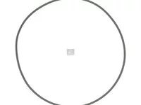 O-Ring DT Spare Parts 992065