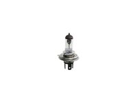 Bulb DT Spare Parts 072601024802