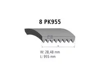 Auxiliary belt DT Spare Parts 978238