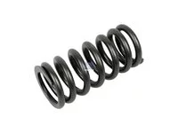 Ventilfeder DT Spare Parts 7421310068 Ventilfeder DT Spare Parts 7421310068