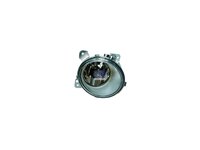 Nebelscheinwerfer DT Spare Parts 1446355