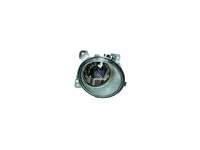 Nebelscheinwerfer DT Spare Parts 1446355