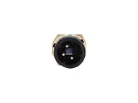 Sensor DT Spare Parts 15047336