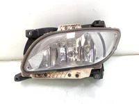 Farol de nevoeiro Esquerdo DAF 1835884 Farol de nevoeiro Esquerdo DAF 1835884