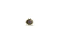 Inyector DT Spare Parts 1653521