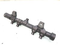 Fuel rail DAF 1706244