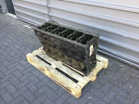 Motorblock Renault 7421236687