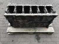 Motorblock Renault 7421236687