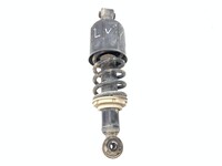 Veerpoot DAF 1936406 Veerpoot DAF 1936406