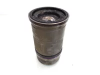 Zylinderlaufbuchse Satz Volvo 21977345