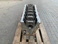Cilinderblok DAF 1652197 Cilinderblok DAF 1652197