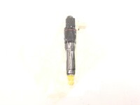 Injector Delphi Corporation 1820820