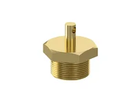 Ontwateringsklep WABCO 24624008