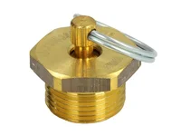 Ontwateringsklep WABCO 500304229